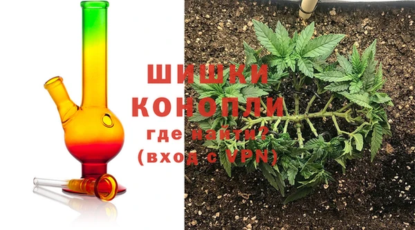 бошки Шадринск