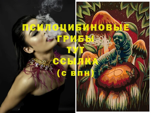 стаф Баксан