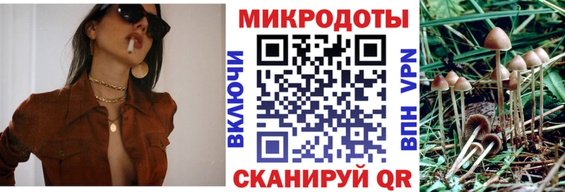 как найти наркотики  кракен   Галлюциногенные грибы мухоморы  Западная Двина 